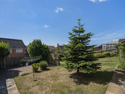 Picture 24